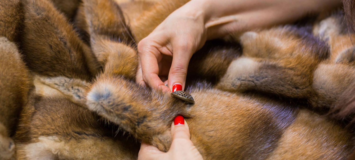 Furs of Mayfair Ltd
