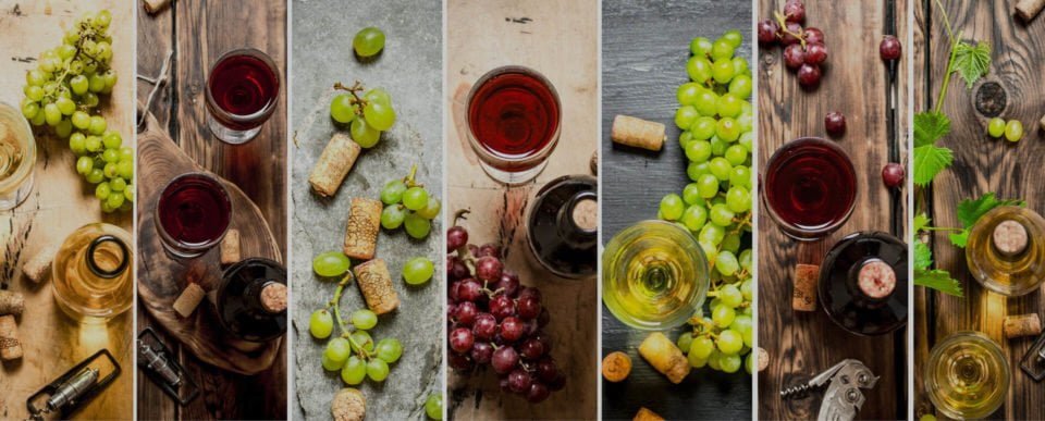 Vegan Wines