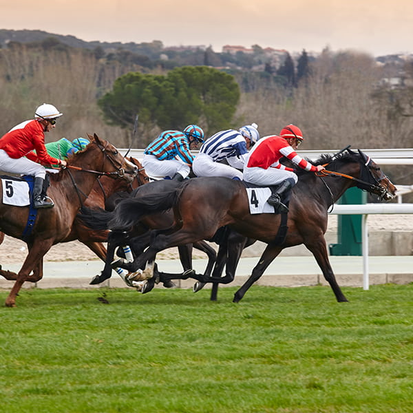 horse racing