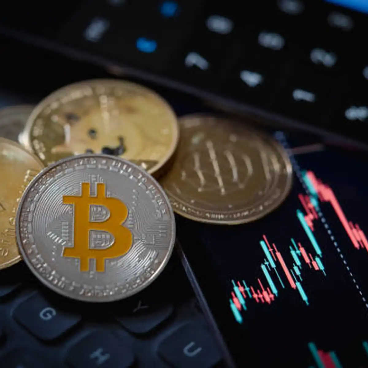 blue-chip cryptocurrencies investment, altcoin portfolio strategy, crypto wealth management